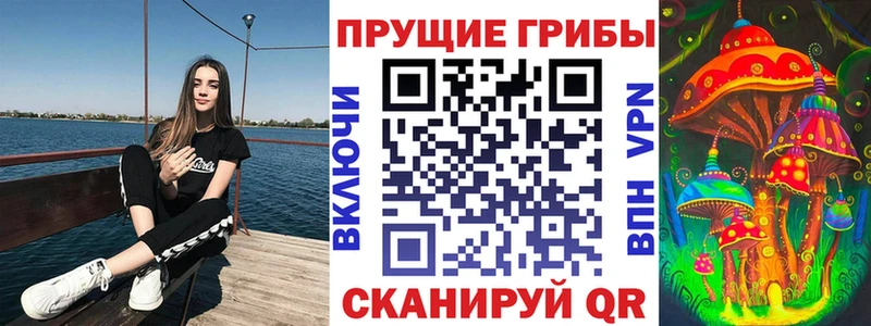 Псилоцибиновые грибы Psilocybine cubensis  Купить закладки  Карачев 